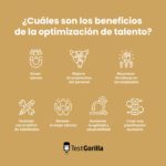 Optimización del talento y competencias laborales