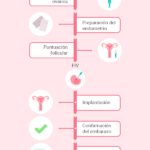 Optimizando la fertilidad en donación de embriones mediante terapia