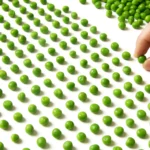 Origen de la obsesión por el orden y simetría