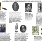 Origen y evolución del microscopio de invención a desarrollo