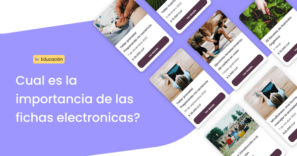 Partes esenciales de una ficha electrónica Lo esencial resumido