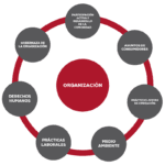 Percepción de la responsabilidad social su importancia y influencia