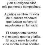 Poema Canto a la belleza de Jalisco tierra mexicana