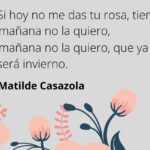 Poemas cortos una oda a la brevedad poética