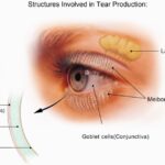 Por qué arden los ojos al llorar Explicación breve