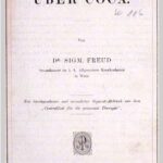 Psicoanálisis de sueños con drogas una mirada profunda al subconsciente