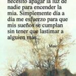 Reflexiones tristes sobre la familia