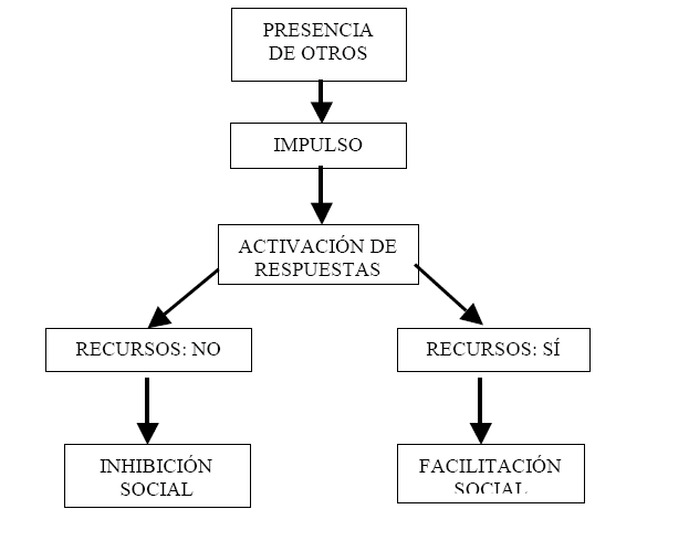 Relación estrecha entre motivación y comportamiento competitivo