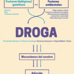 Riesgo y drogas ilegales Un análisis del comportamiento