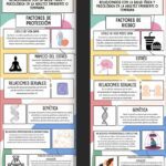 Riesgos y prevención en la adultez media