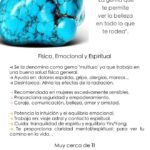 Significado de la piedra turquesa protección y buena suerte