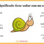 Significado de soñar con caracoles Guía completa
