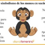 Significado de soñar con un mono amigable