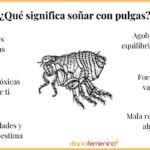 Significado del sueño de pulgas