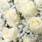 Significado espiritual de flores blancas