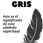 Significado Espiritual de la Pluma Gris