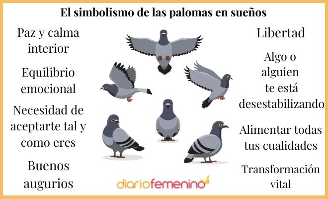 Sueños con palomas significado y simbolismo