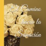 Superación del duelo El camino hacia la sanación