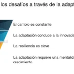 Superando Desafíos en la Relación Bicultural