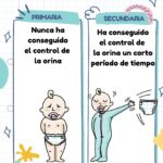 Superando la enuresis nocturna Causas y soluciones