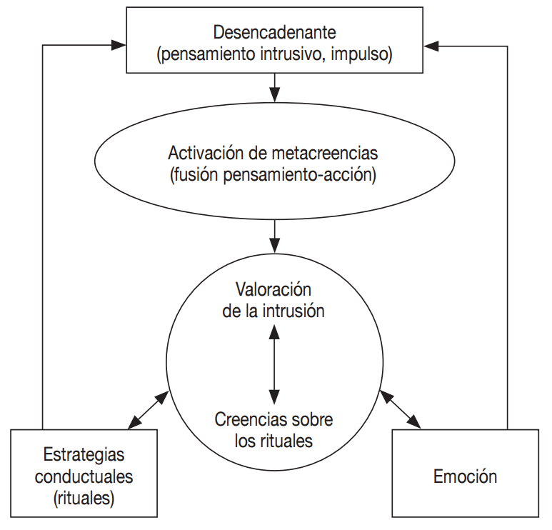 Terapia de metacognición para el TDAH Solución eficaz