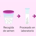 Terapia de pareja en la inseminación artificial