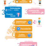 Terapia de pareja y donación de óvulos para fertilidad