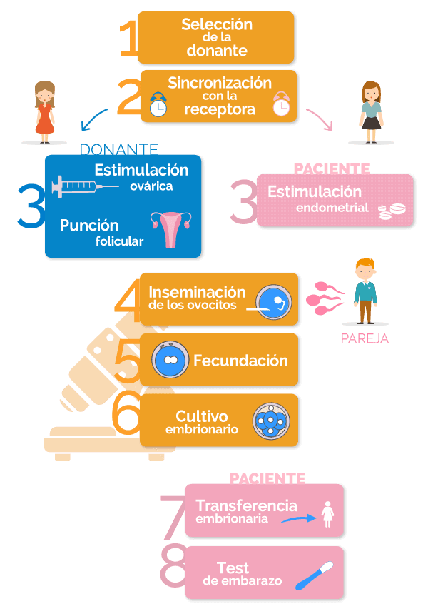 Terapia de pareja y donación de óvulos para fertilidad