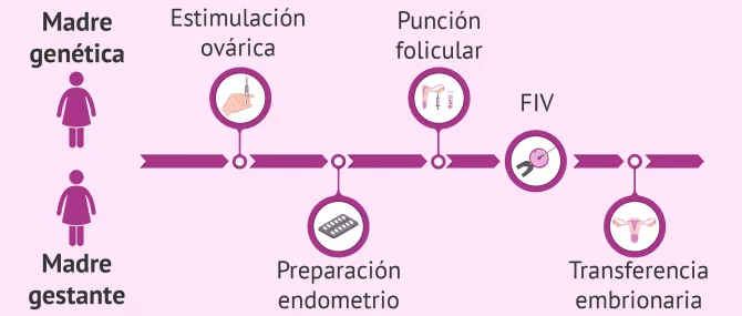 Terapia en la adopción de óvulos enfrentando cambios en pareja