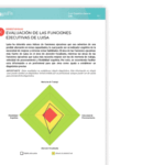Test de Evaluación Cognitiva Gratis Mejora tu Desempeño Mental