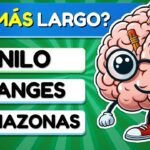 Test de primaria ¿Cuánto sabes?