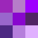 Tonos de morado una variedad de colores por descubrir