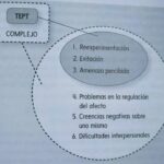 Trastornos de la personalidad y estrés postraumático Un análisis breve