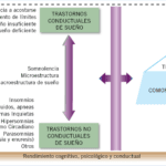 Trastornos del sueño y atención/concentración ¿qué relación existe?