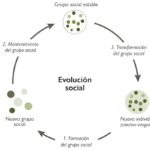 Altruismo y cooperación claves en la evolución humana