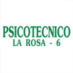 Análisis Psicotécnico de La Rosa
