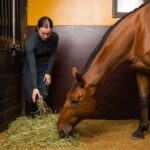 Caballos cerca de mi hogar Convivencia inesperada