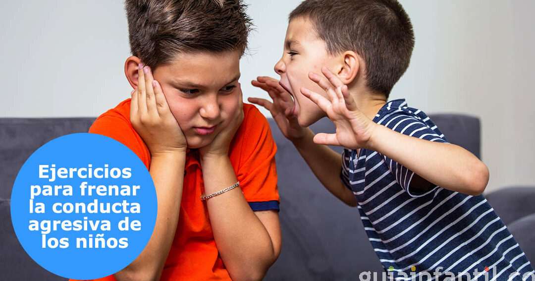 Cómo manejar el comportamiento agresivo de los niños
