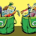 Comportamiento de compra en productos ecológicos