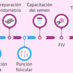 Consejos para afrontar cambios en la donación de óvulos