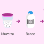 Consejos para fortalecer la relación durante donación de esperma