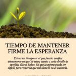 Consejos para mantener la esperanza en la concepción