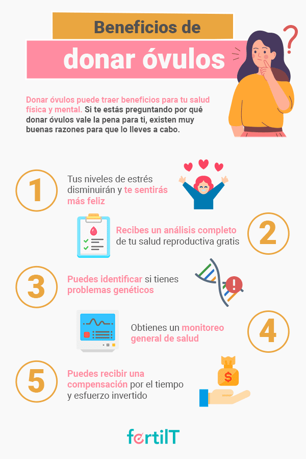 Consejos para una donación de óvulos honesta y abierta