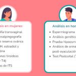 Consejos para una relación saludable en inseminación artificial