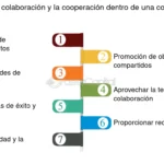 Cooperación comunitaria Promoviendo colaboración