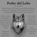 Descifrando el significado de ver al lobo