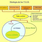 Diferencias entre trastorno generalizado del desarrollo y autismo