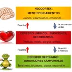 El cuerpo como recurso terapéutico enfoque innovador en psicología