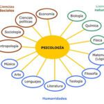 El objeto de estudio de la psicología visión concisa y optimizada