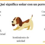 El sueño de mi perro fallecido